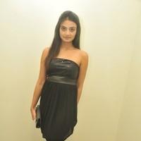 Nikitha Narayan New Photos